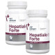Hepatiale Vet Expert – Large Breed – supliment pentru susținerea funcției hepatice la câini de talie mare, 40 tablete
